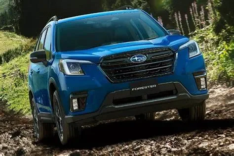 Subaru (Đặc Biệt là Forester, Crosstrek)