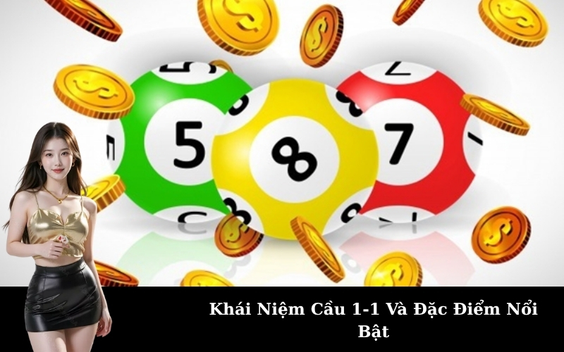 Khái Niệm Cầu 1-1 Và Đặc Điểm Nổi Bật